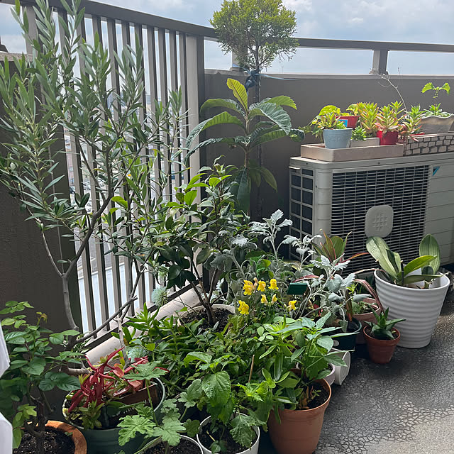 tomobaさんの部屋