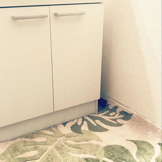 hanachanさんの実例写真
