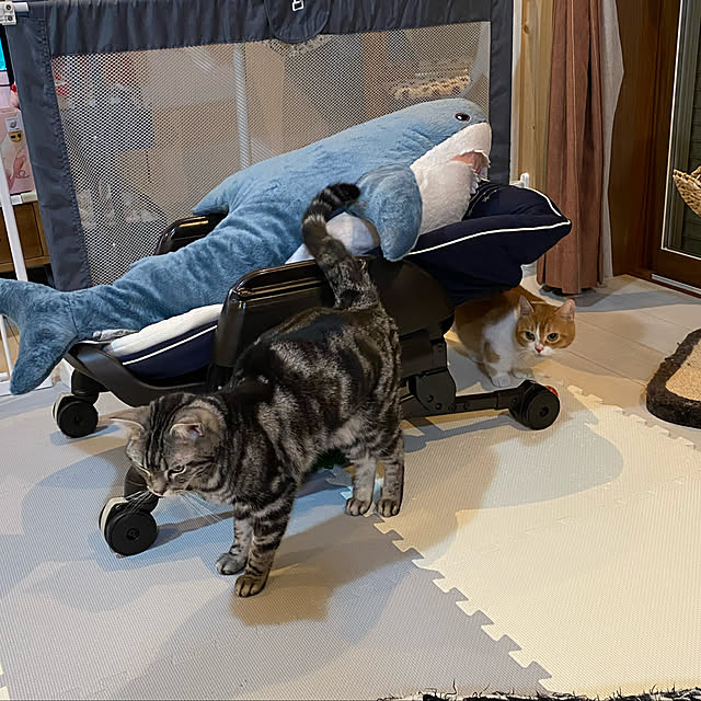 KotarouKunさんの実例写真
