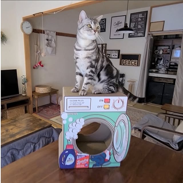 lovepeaceさんの実例写真