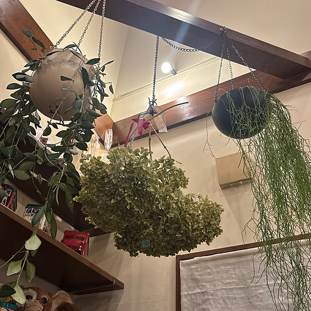 noraさんの実例写真