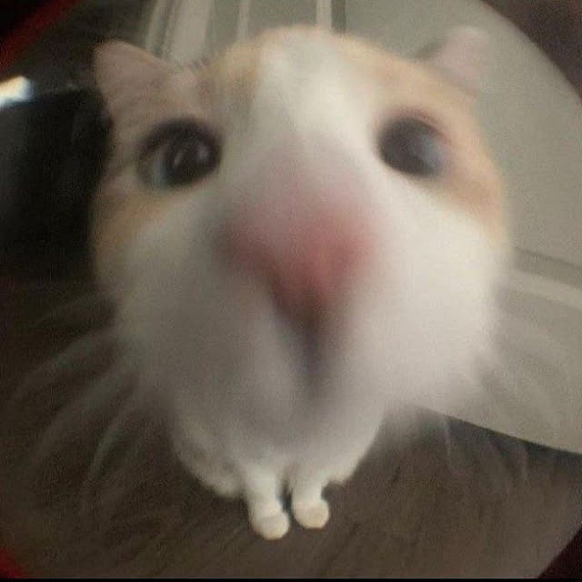 katerinaveselova1483さんの実例写真