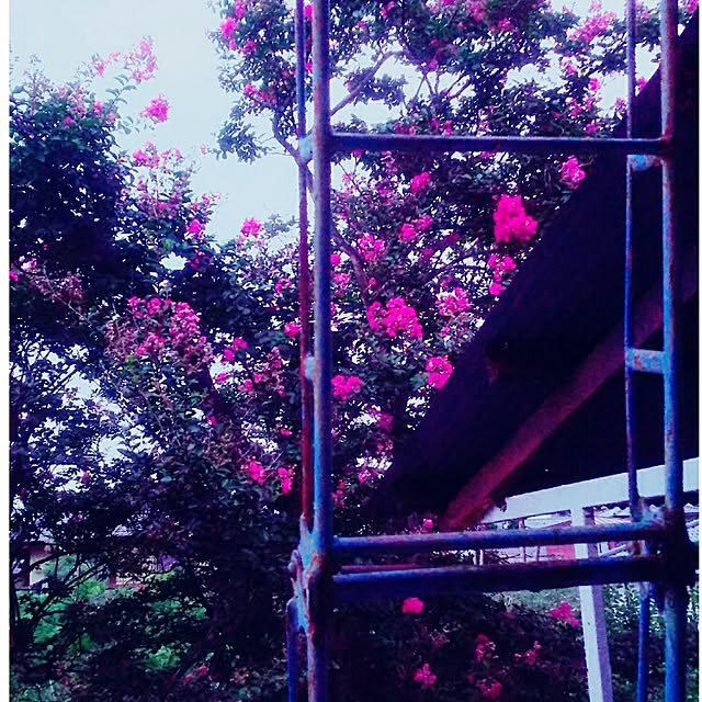 cherrycherryさんの実例写真