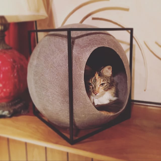 decorameowさんの実例写真