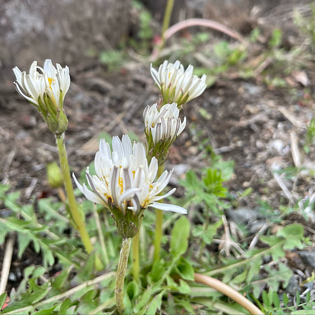 natsumiさんの部屋