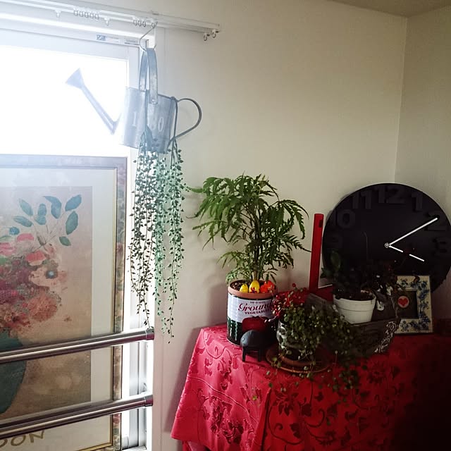 棚/観葉植物のインテリア実例 - 2016-08-29 16:11:01