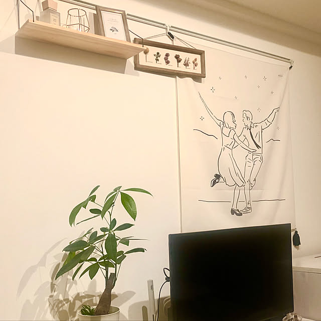 okapipipiさんの実例写真