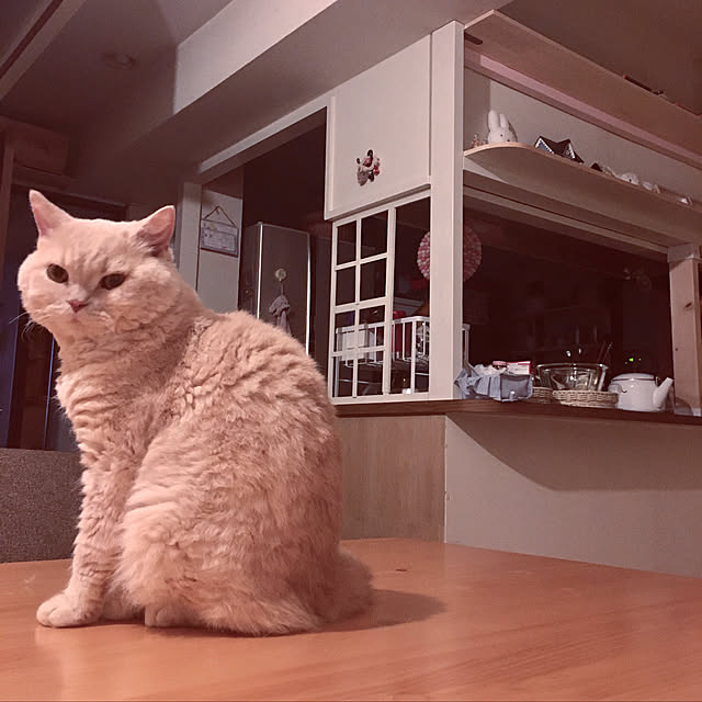 naokoさんの実例写真