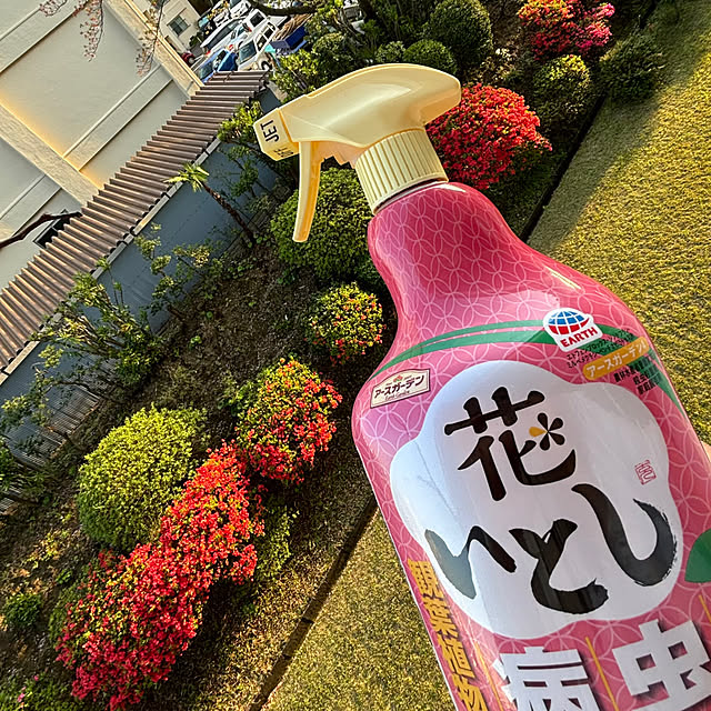 syutmmさんの部屋
