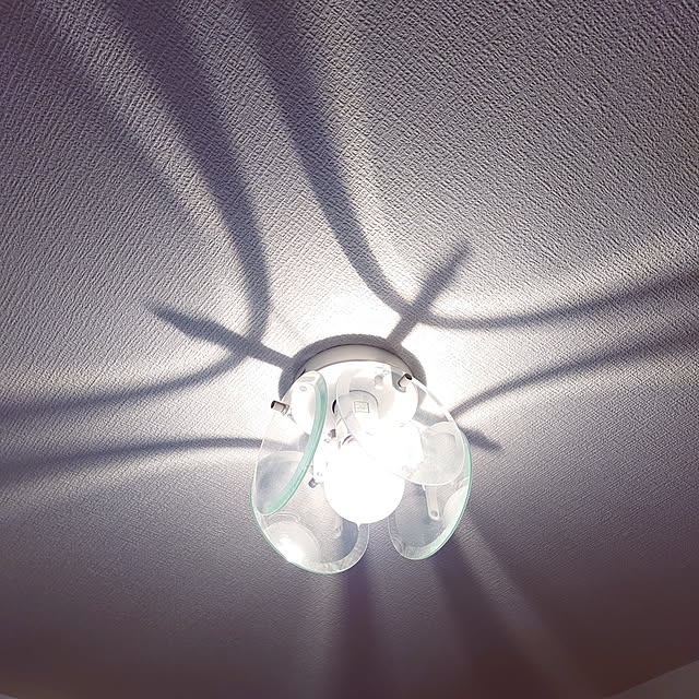 ARISAさんの実例写真