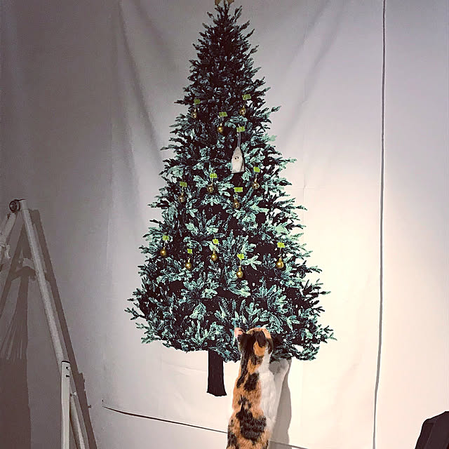 s.uraさんの実例写真