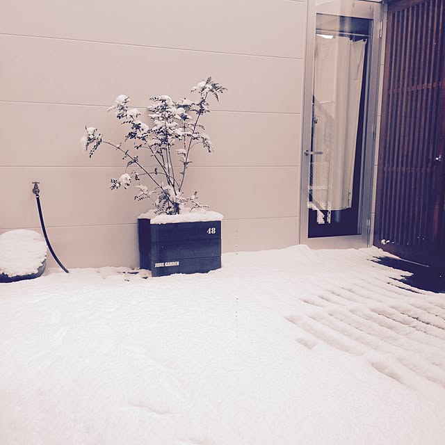 wakiさんの実例写真