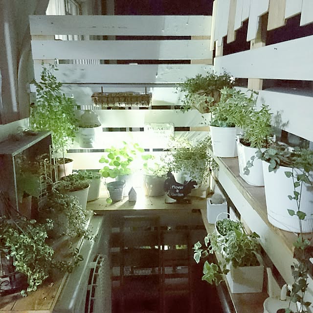 miporin0711さんの実例写真