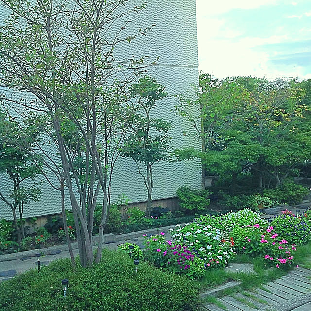 marrymisuzuさんの実例写真