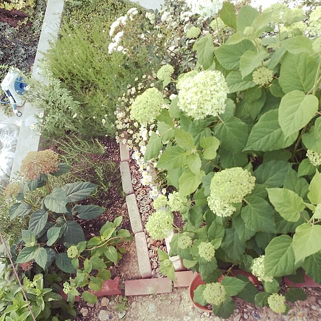 mhtkさんの実例写真