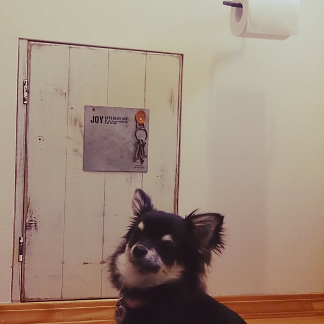 aokkoさんの実例写真