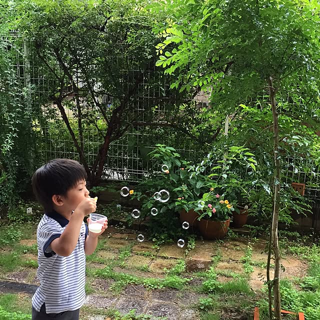 shizu2380さんの実例写真
