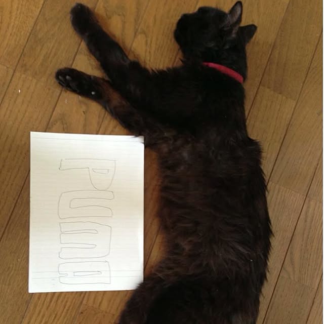 mobiri57さんの実例写真