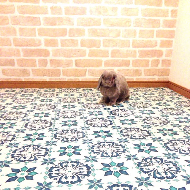 yuribellさんの実例写真