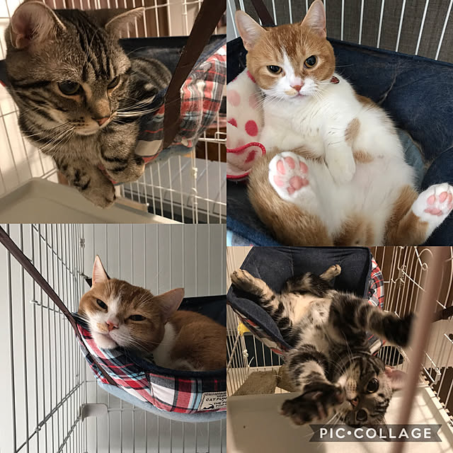 KotarouKunさんの実例写真