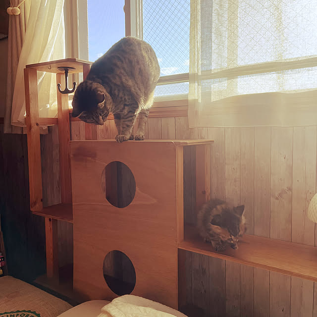 Mさんの部屋