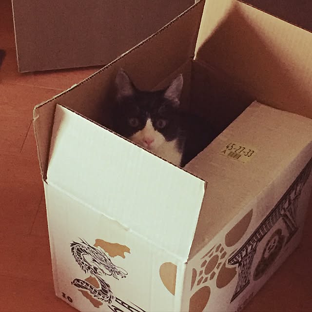 y_uu122さんの実例写真