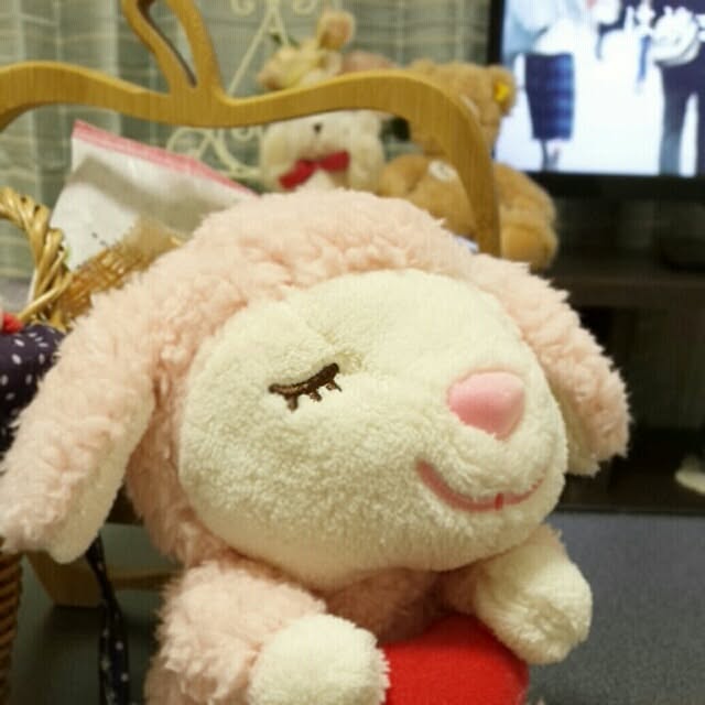 shimaさんの実例写真