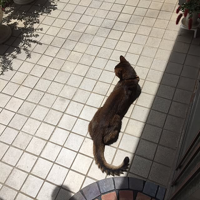 tanutanさんの実例写真
