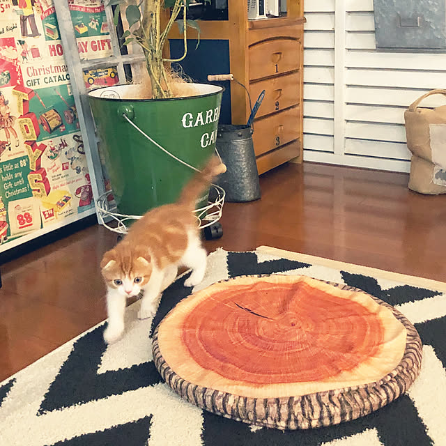 tomatoさんの実例写真