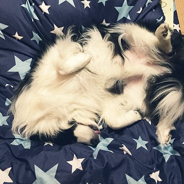 ronさんの実例写真