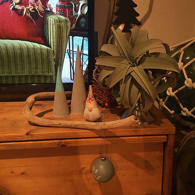 pitaさんの実例写真