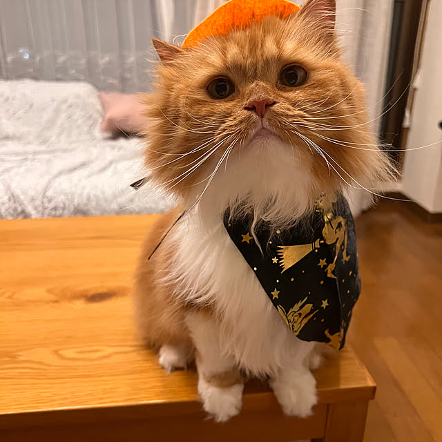 SANKIRAIさんの実例写真