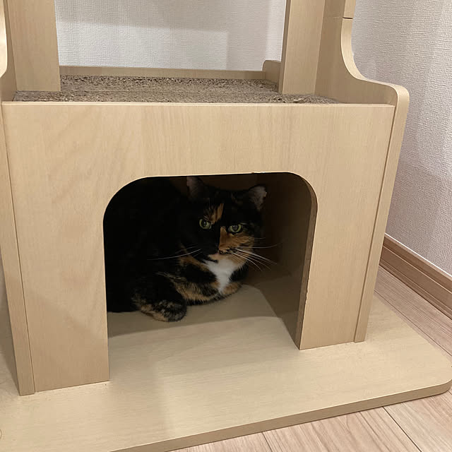 kirinsanさんの部屋