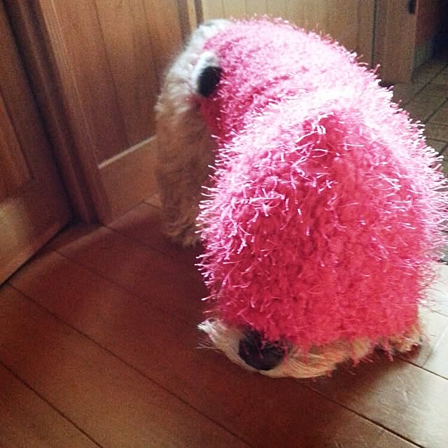 makaronさんの実例写真