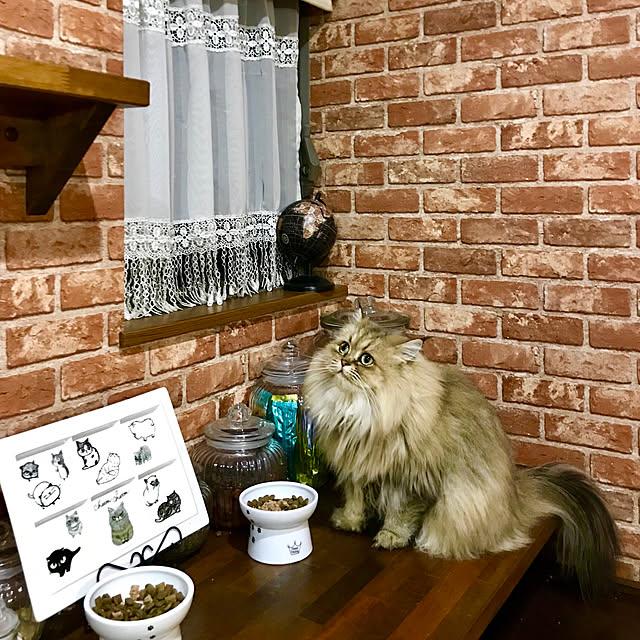 butachanさんの実例写真