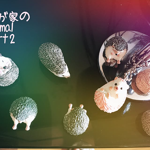 cha.cha.1030さんの実例写真