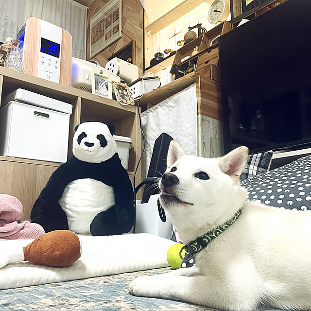 mo-nosukeさんの実例写真