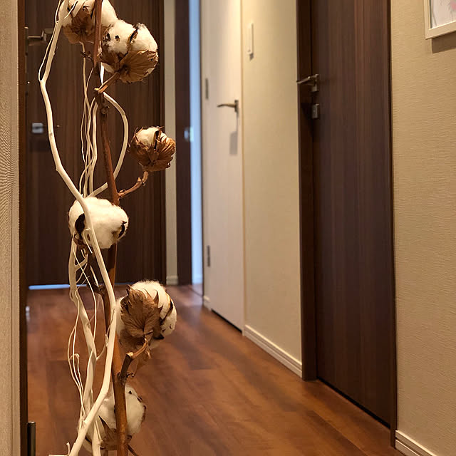 AKIOZAWAさんの実例写真