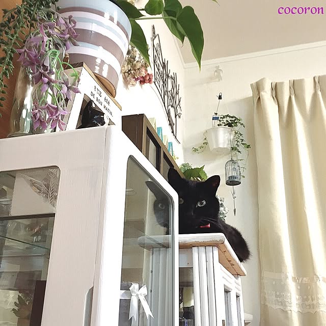 cocoronさんの実例写真