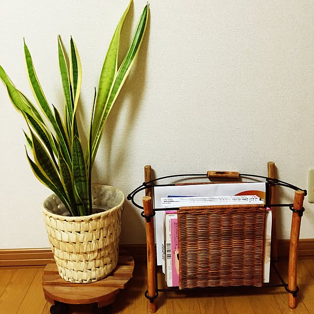 hiroさんの実例写真