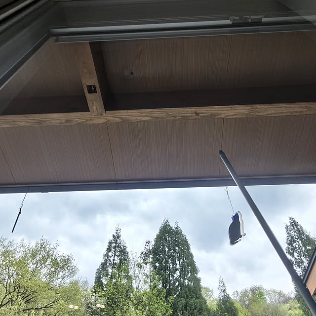 Rubiconさんの部屋