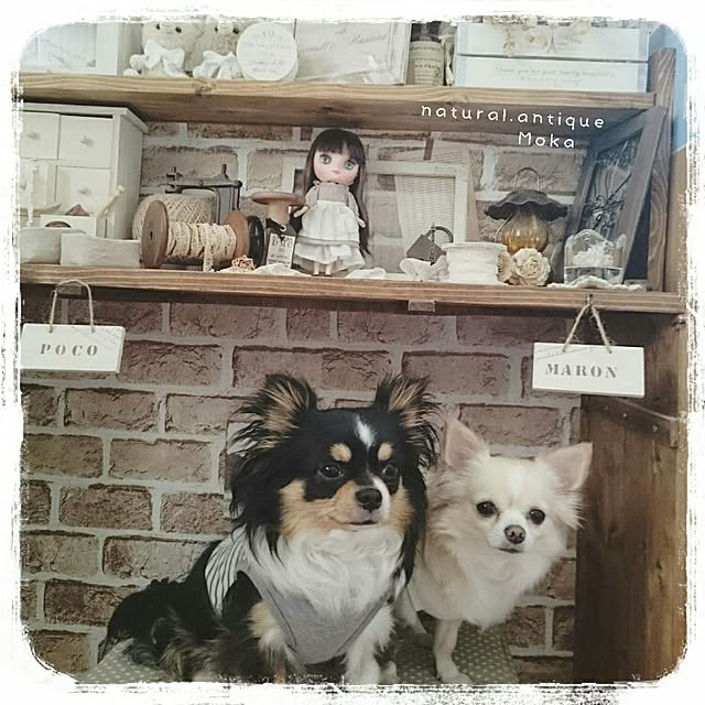 Mokaさんの実例写真