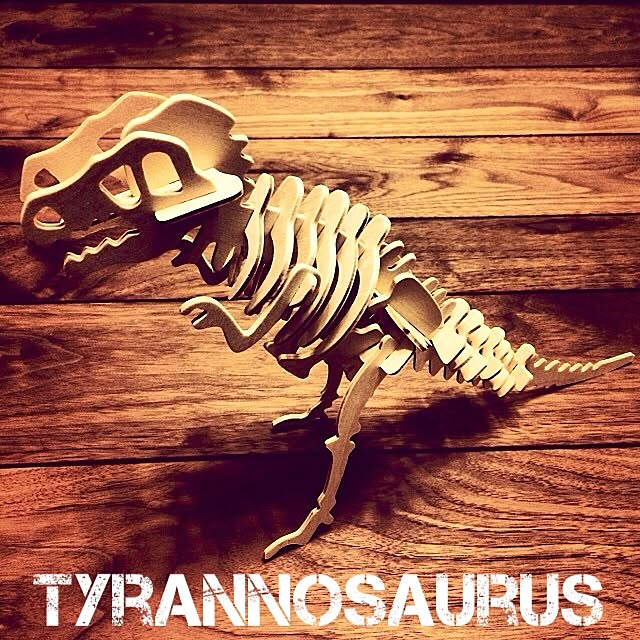 tyuraさんの実例写真