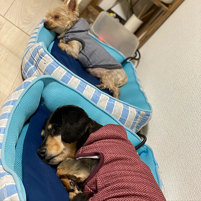 ohanaさんの実例写真
