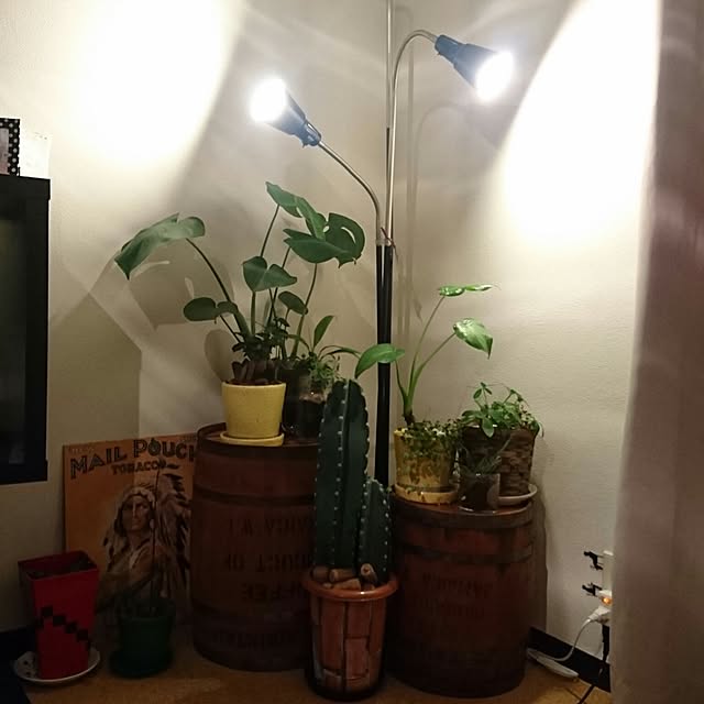 tanabeman29さんの実例写真