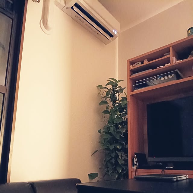 ruantaiさんの部屋