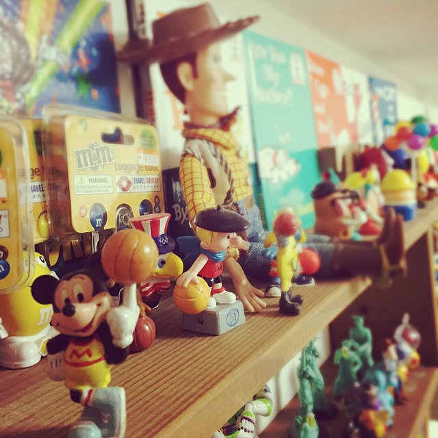 TOYMARUさんの実例写真