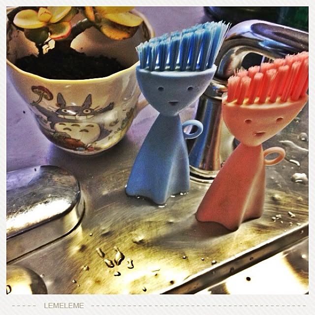 shantiankaoliさんの実例写真