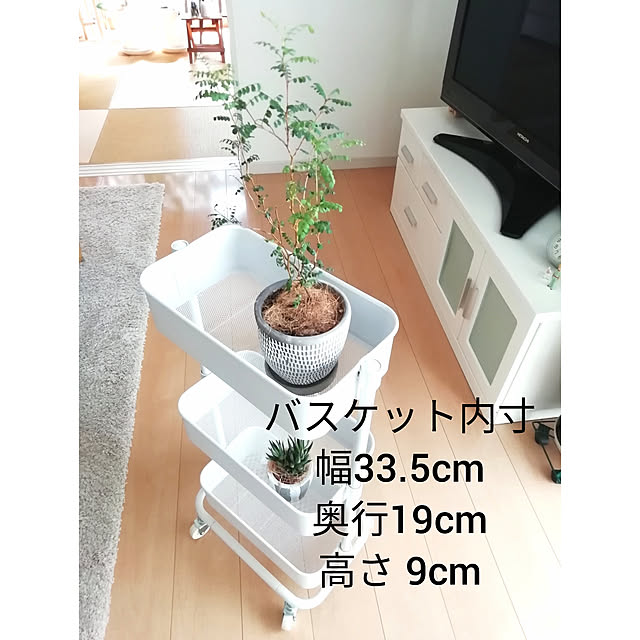tirolさんの実例写真