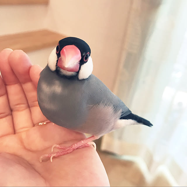 utasさんの実例写真